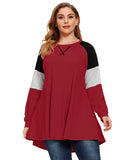 Plus Size Color Block Long Sleeve Tunic Striped Raglan Pullover - LARACE 8087.